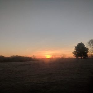 Meet your Posher, Bethann